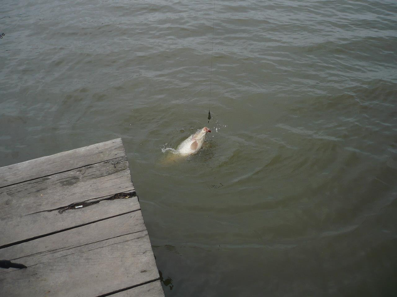 Magura 9 - 25.APR.2014 - p1020307.JPG